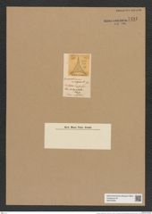 Triceratium inaequle Grev. (de-Toni-Nr.: Genus 140, Species 4010) Zeichnungen Sammlung Grunow Nr. 7481 (NHMW-BOT-W0376595)